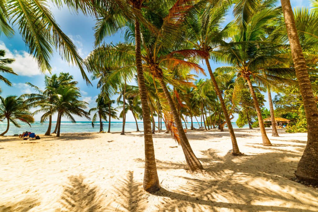 Les plus belles plages de Guadeloupe