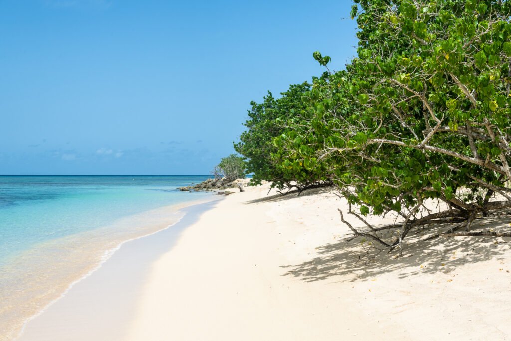 Les plus belles plages de Guadeloupe