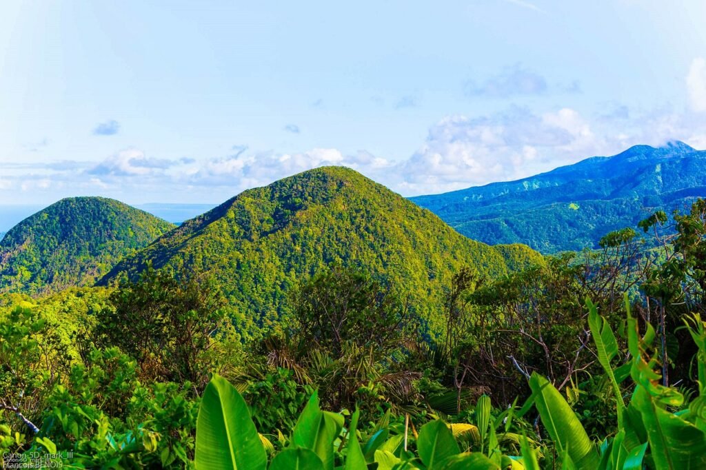 Découvrir la Guadeloupe